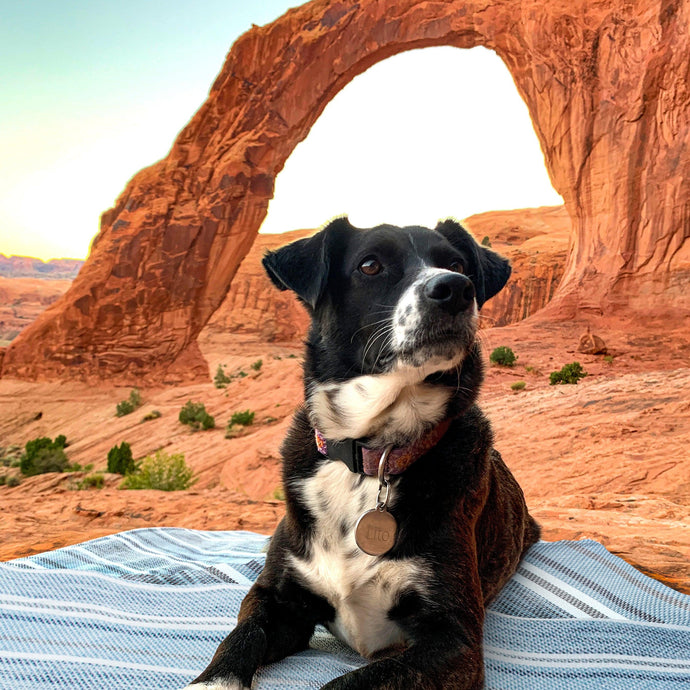 Amana Outdoors: Moab, UT