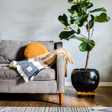 Load image into Gallery viewer, Illusion Wool Throw Blanket - Amana Woolen Mill
