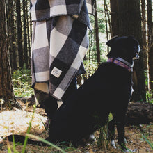 Load image into Gallery viewer, dog and person with the Grey/Natural Big Roy Wool Throw Blanket
